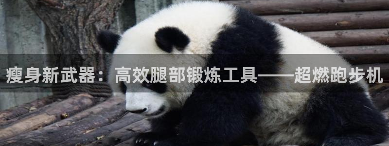 fb体育代理：瘦身新武器：高效腿部锻炼工具——超燃跑