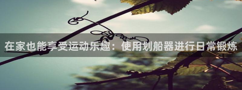 fb体育集团官网网址：在家也能享受运动乐趣：使用划船