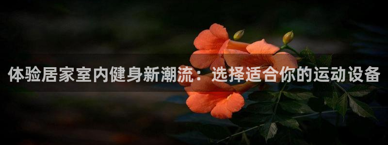 fb体育娱乐40996：体验居家室内健身新潮流：选择适合你的