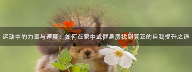 fb体育软件：运动中的力量与速度：如何在家中或健身房