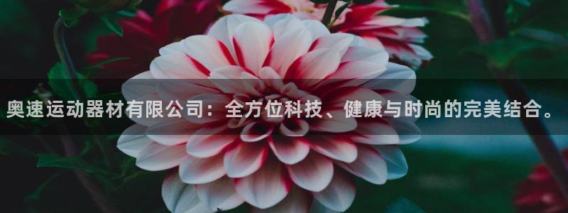 fb体育平台注册要钱吗：奥速运动器材有限公司：全方位
