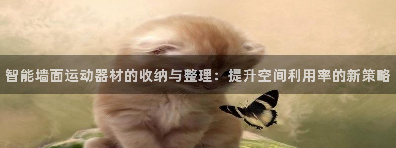 fb体育招商：智能墙面运动器材的收纳与整理：提升空间