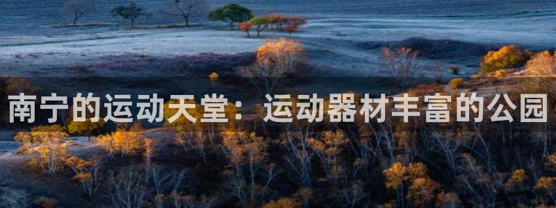 fb体育平台注册流程视频：南宁的运动天堂：运动器材丰