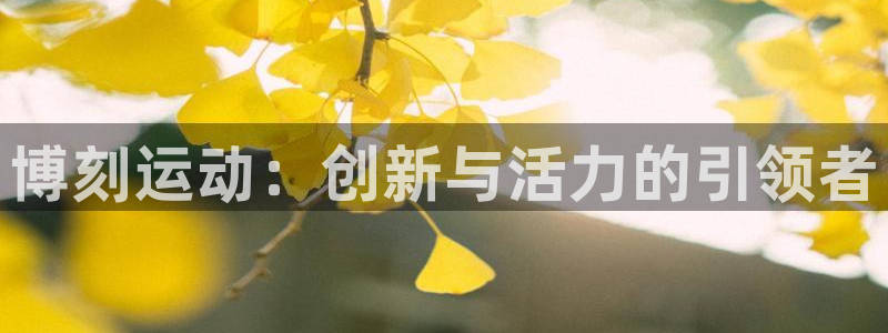 fb体育注册：博刻运动：创新与活力的引领者