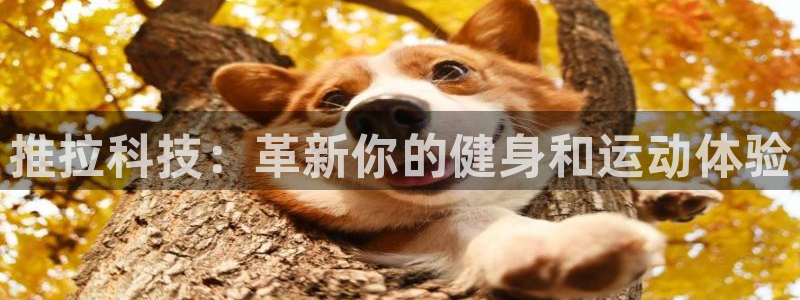 fb体育集团官网首页：推拉科技：革新你的健身和运动体验