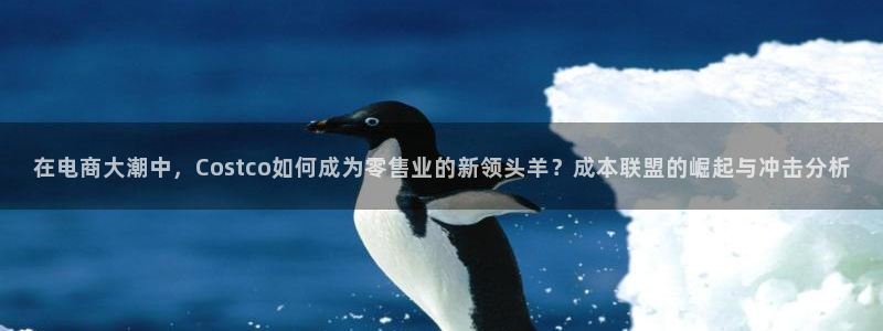 fb体育平台APP：在电商大潮中，Costco如何成为零售业