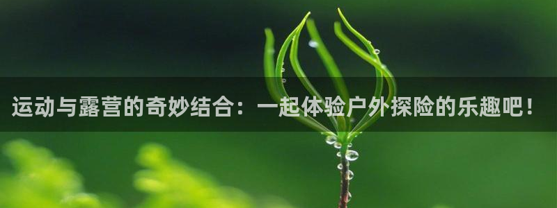 fb体育招商电话号码查询：运动与露营的奇妙结合：一起体验户外