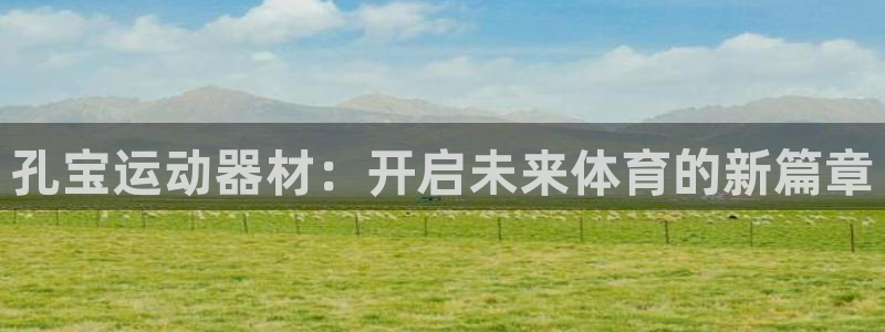 fb体育平台注册要钱吗安全吗：孔宝运动器材：开启未来体育的新