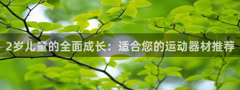 fb体育是干嘛的公司：2岁儿童的全面成长：适合您的运动器材推