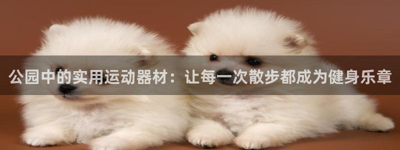 fb体育官网：公园中的实用运动器材：让每一次散步都成为健身乐