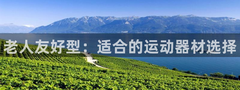 fb体育平台APP：老人友好型：适合的运动器材选择